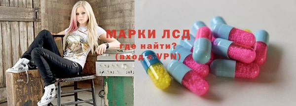 кокс Щигры