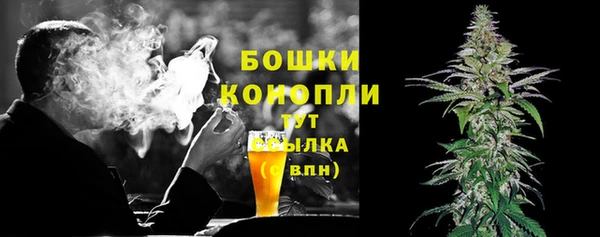стаф Осинники