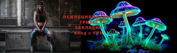 мяу мяу мука Осташков