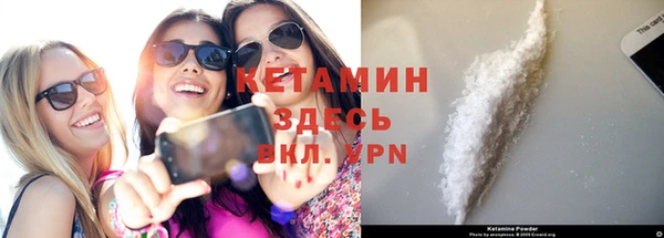 стаф Осинники