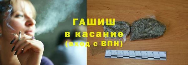 стаф Осинники