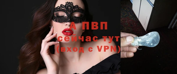 стаф Осинники