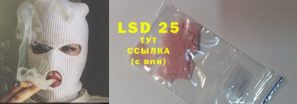 стаф Осинники