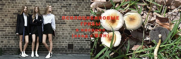 мяу мяу мука Осташков