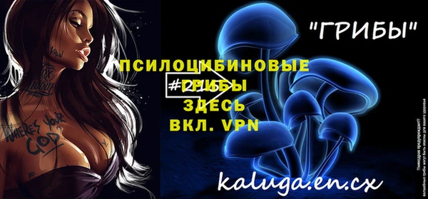 спиды Щёлкино