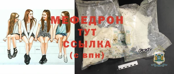 стаф Осинники