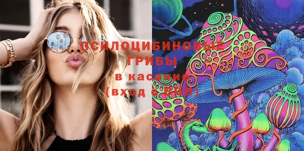 бошки Щучье
