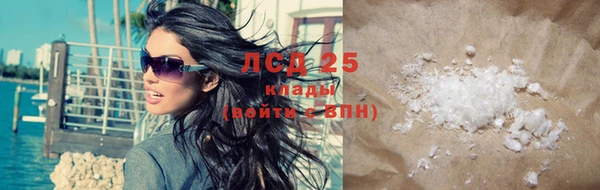стаф Осинники