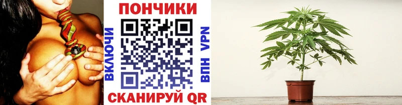 купить   Бежецк  Марихуана Amnesia 